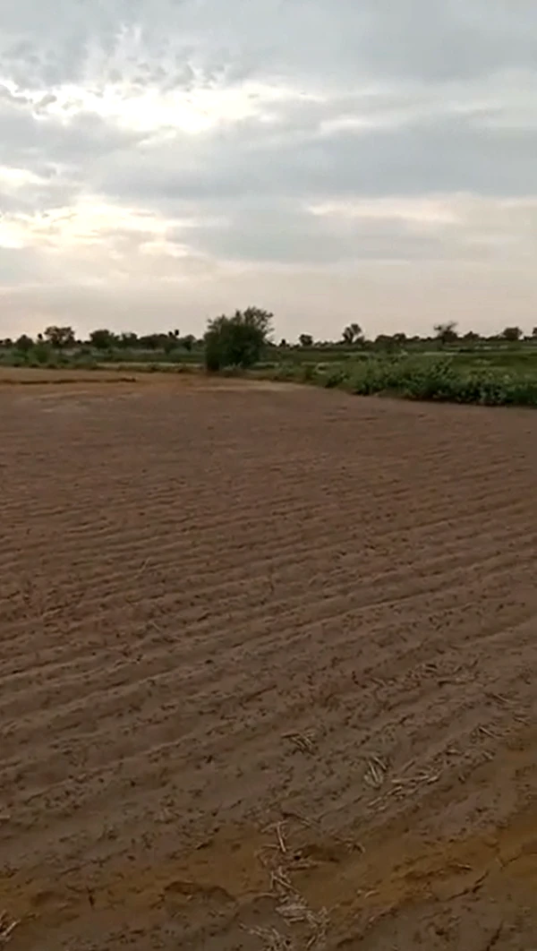 FQ47+H7W, Alwar, Bamboli, Rajasthan, India