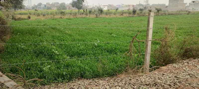 Poonchhari Ka Lautha, Rajasthan, India preview 3