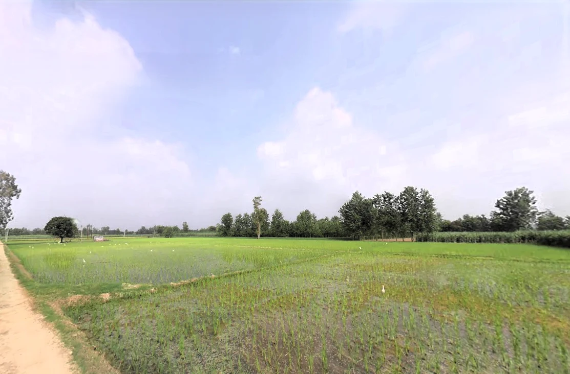 Nakur, Uttar Pradesh 247342, India