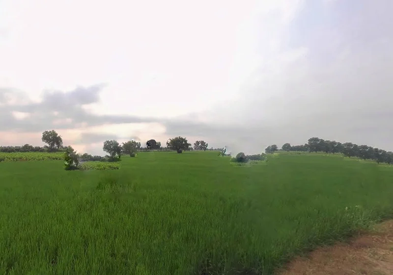 Bihta, Bihar 801103, India preview 2