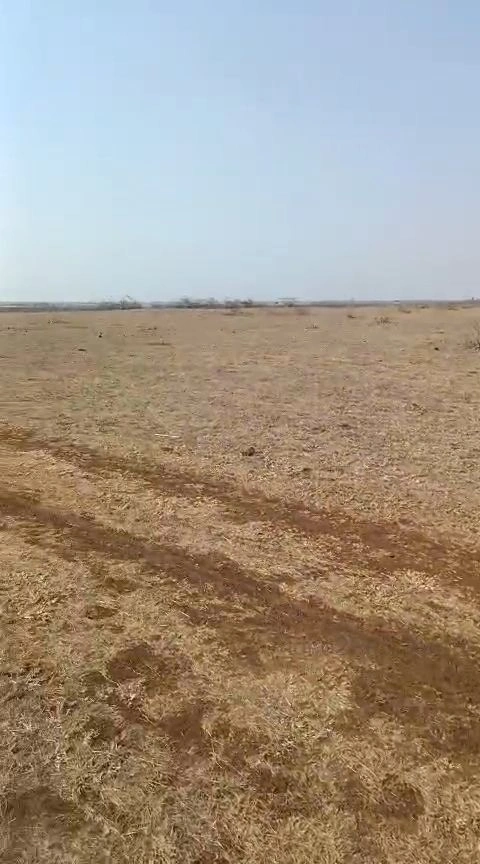 Nigoha, Uttar Pradesh 226302, India preview 3