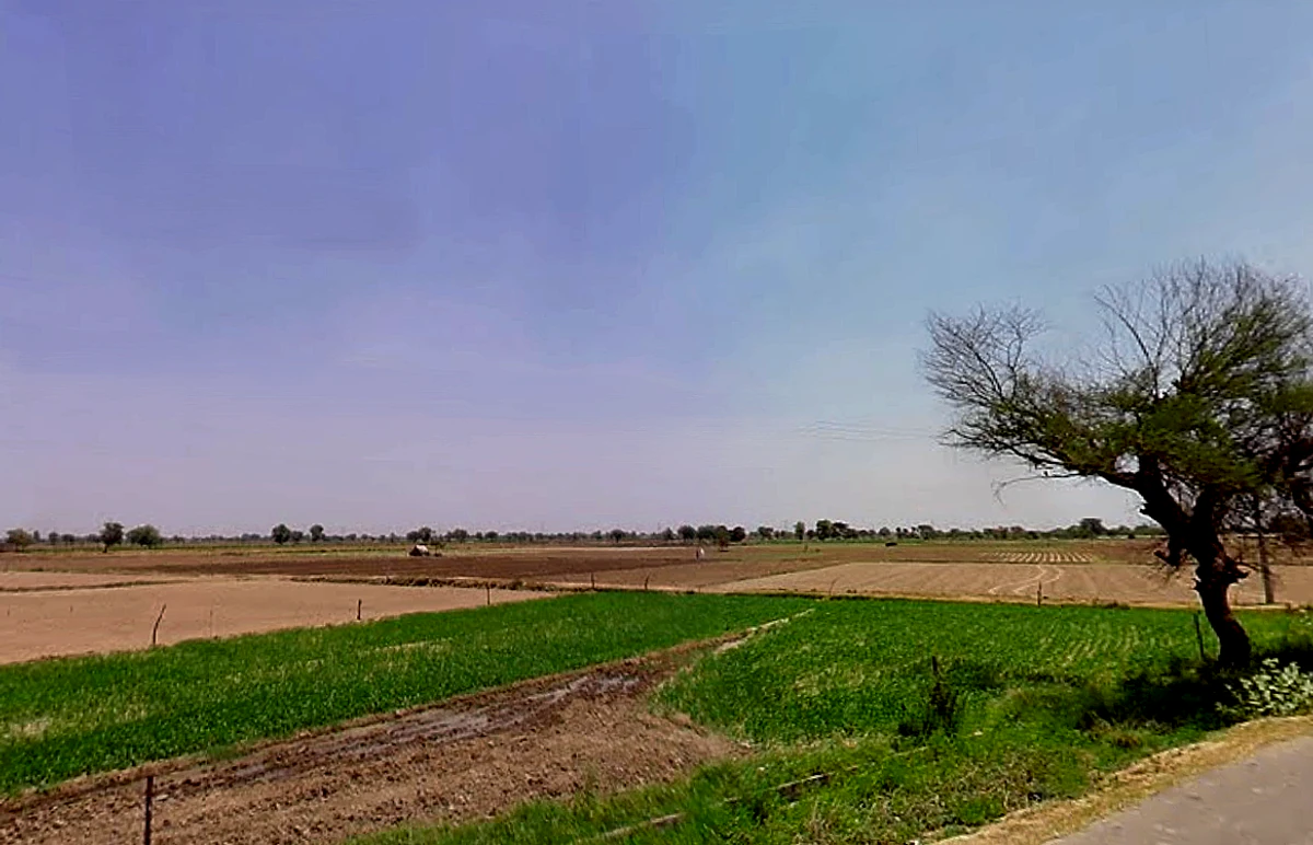 Kharkhara, Haryana 125121, India