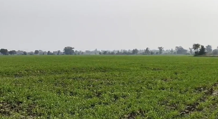 Khari, Vidisha, Madhya Pradesh 464001, India - Photo 3
