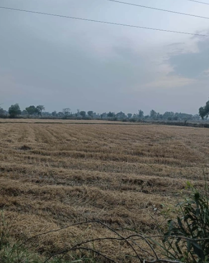 Lalpur Hamir, Uttar Pradesh 244001, India preview 3