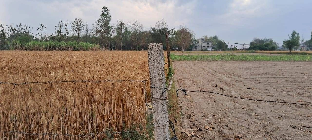 Danta Ramgarh, Rajasthan 332703, India