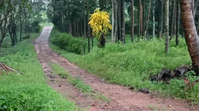 WCF7+4XJ, Dakshina Kannada, Belthangady, Karnataka, India preview 2
