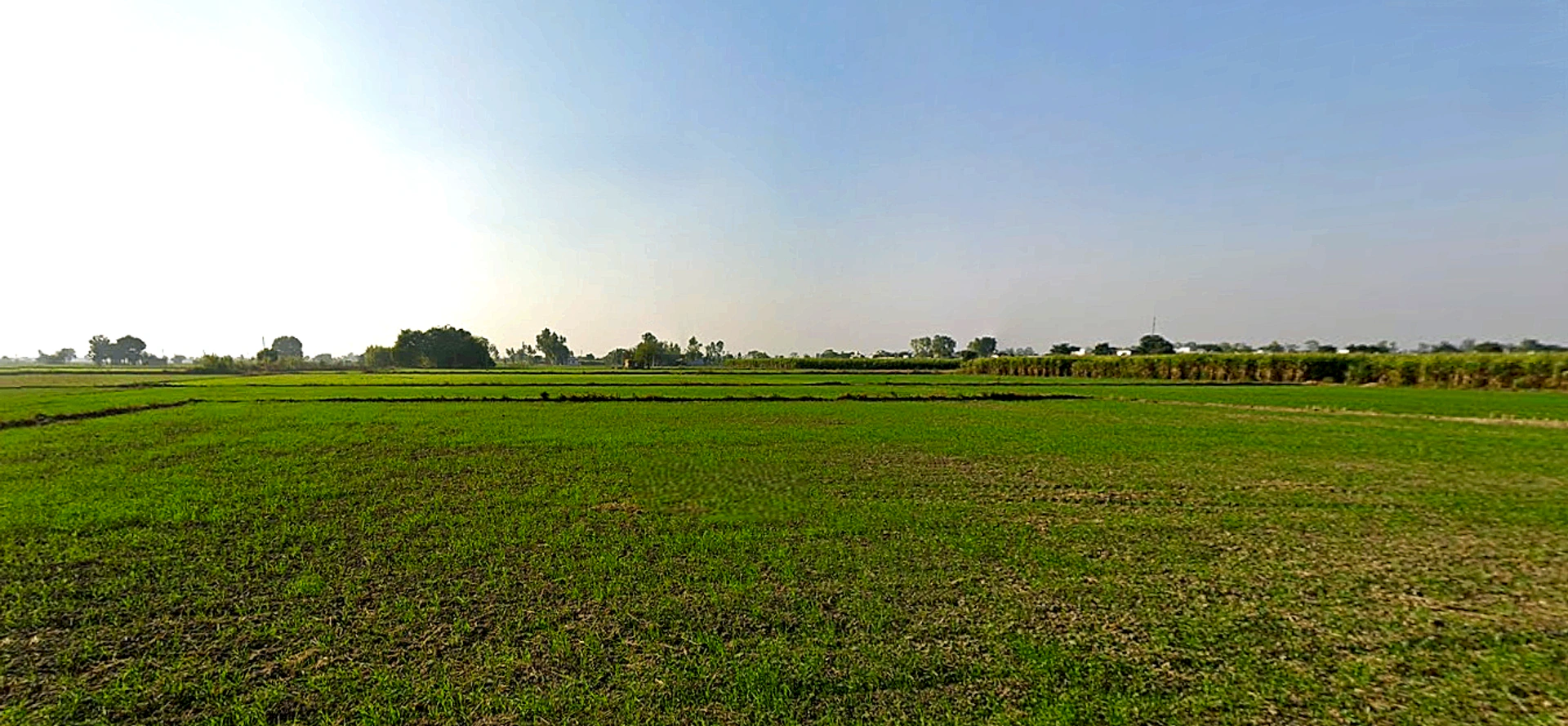 Pharala, Punjab 144503, India