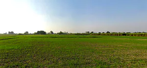 Pharala, Punjab 144503, India preview 3