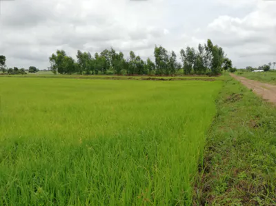 Ratanpur Ki Sarai, Rajasthan 313601, India preview 3