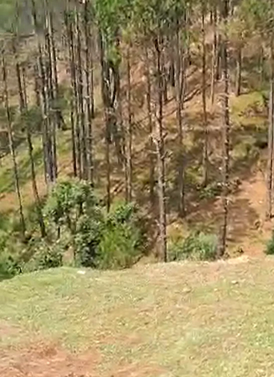 H75J+3JH, Sirmaur, Nahan, Himachal Pradesh 173001, India