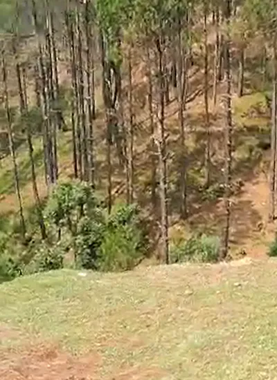 H75J+3JH, Sirmaur, Nahan, Himachal Pradesh 173001, India preview 2