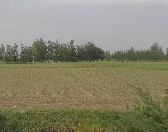 Kakkepur, Uttar Pradesh, India