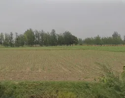 Kakkepur, Uttar Pradesh, India preview 3