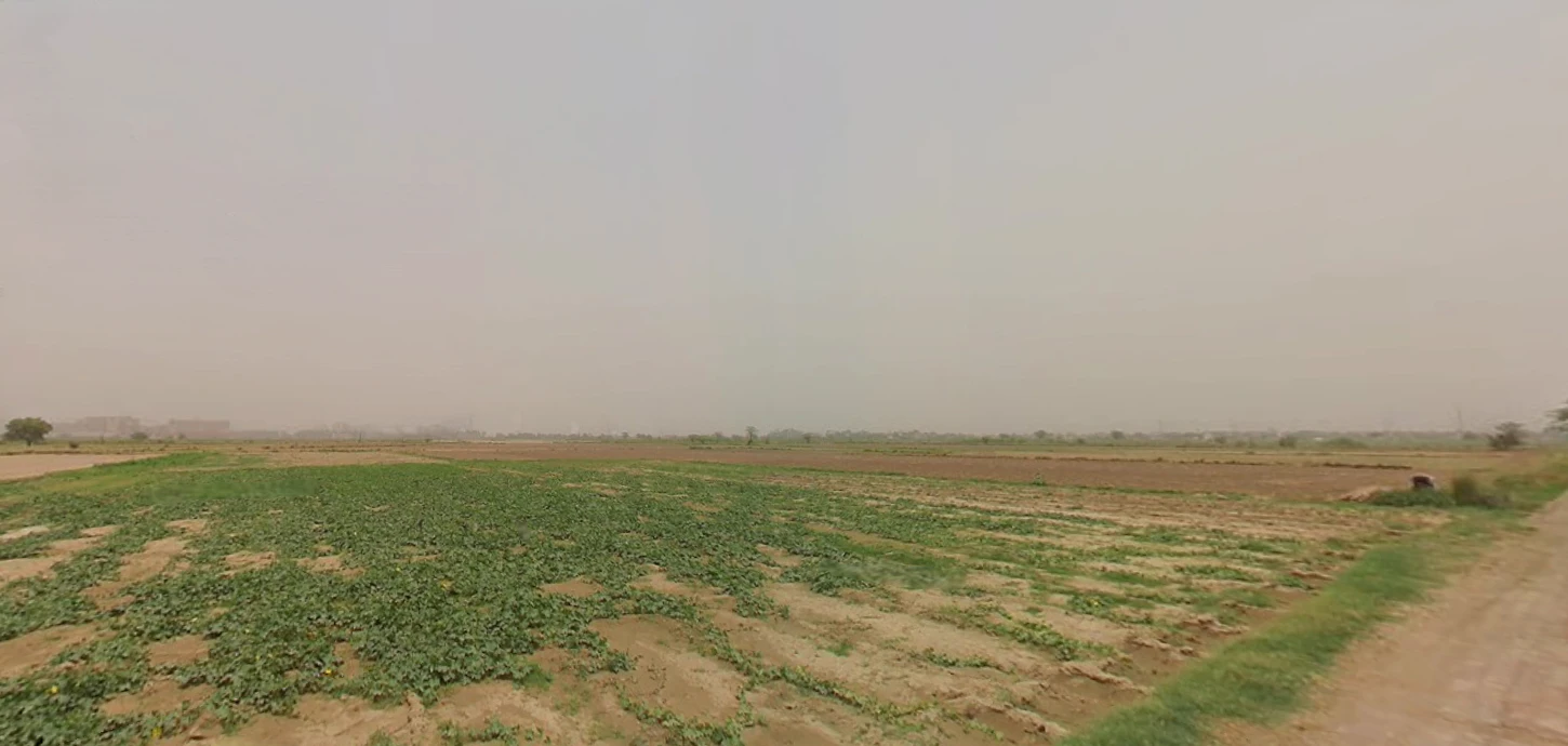 6 06, Sahejpur, Rajasthan 301026, India