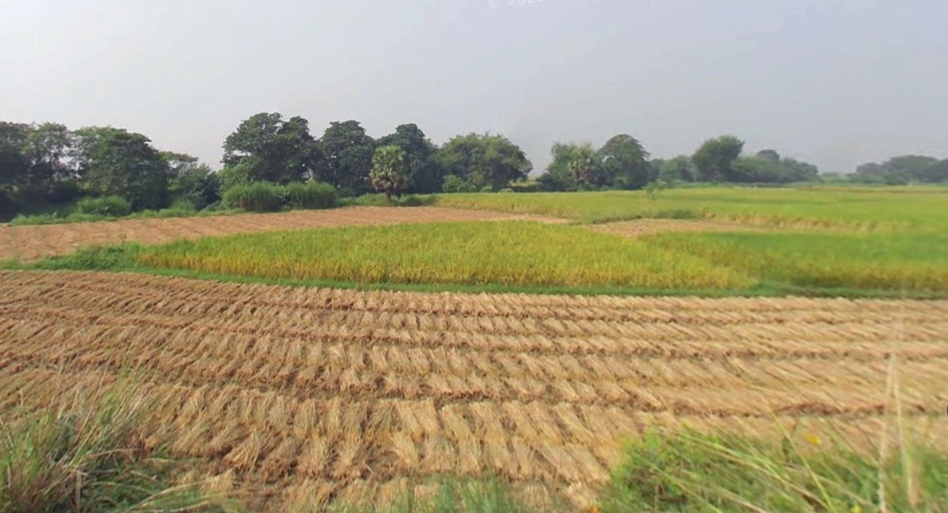 Sindaus, Uttar Pradesh 206125, India