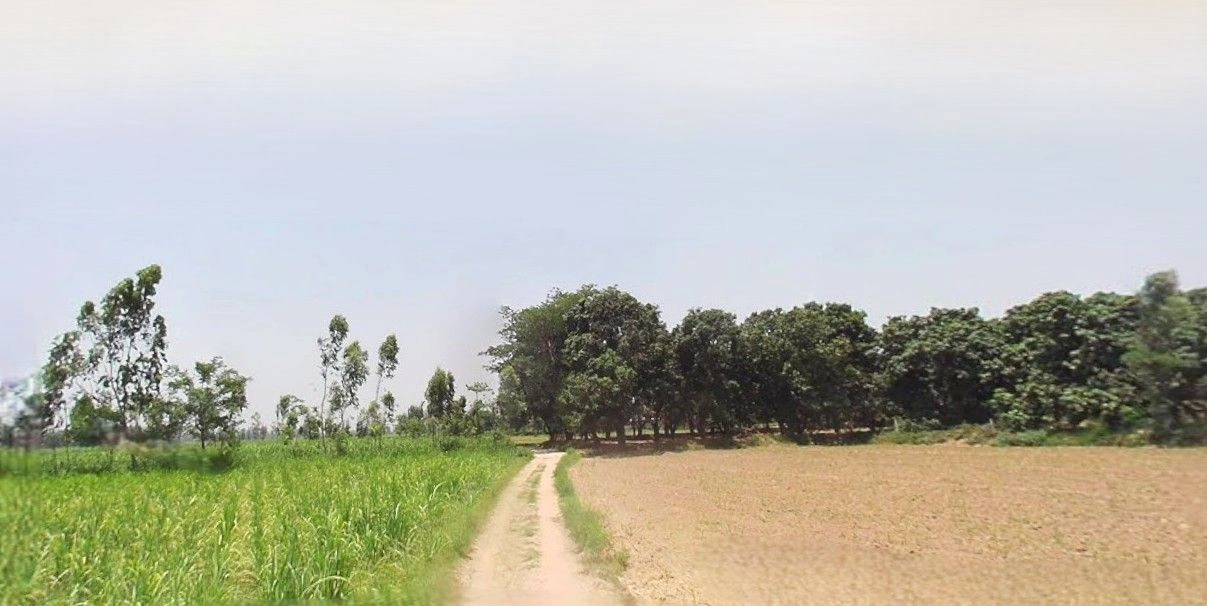 Jansath, Uttar Pradesh 251314, India preview 2