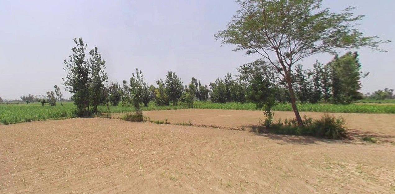 Jansath, Uttar Pradesh 251314, India