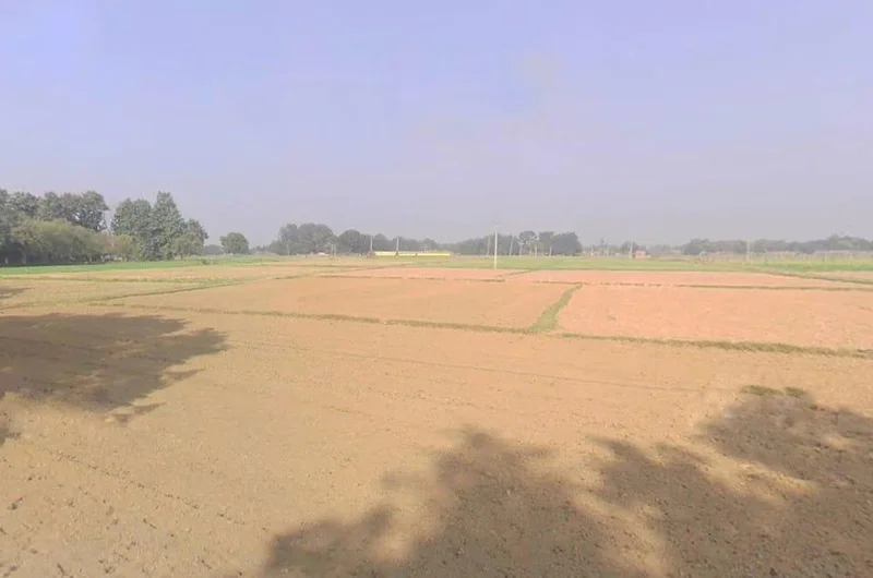 Mavaiya Kala, Uttar Pradesh, India preview 2