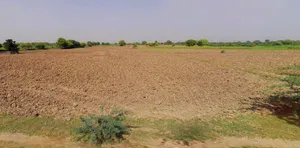 Nuh, Haryana 122107, India preview 3