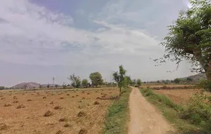 QM6M+8P Jeelota, Rajasthan, India preview 3