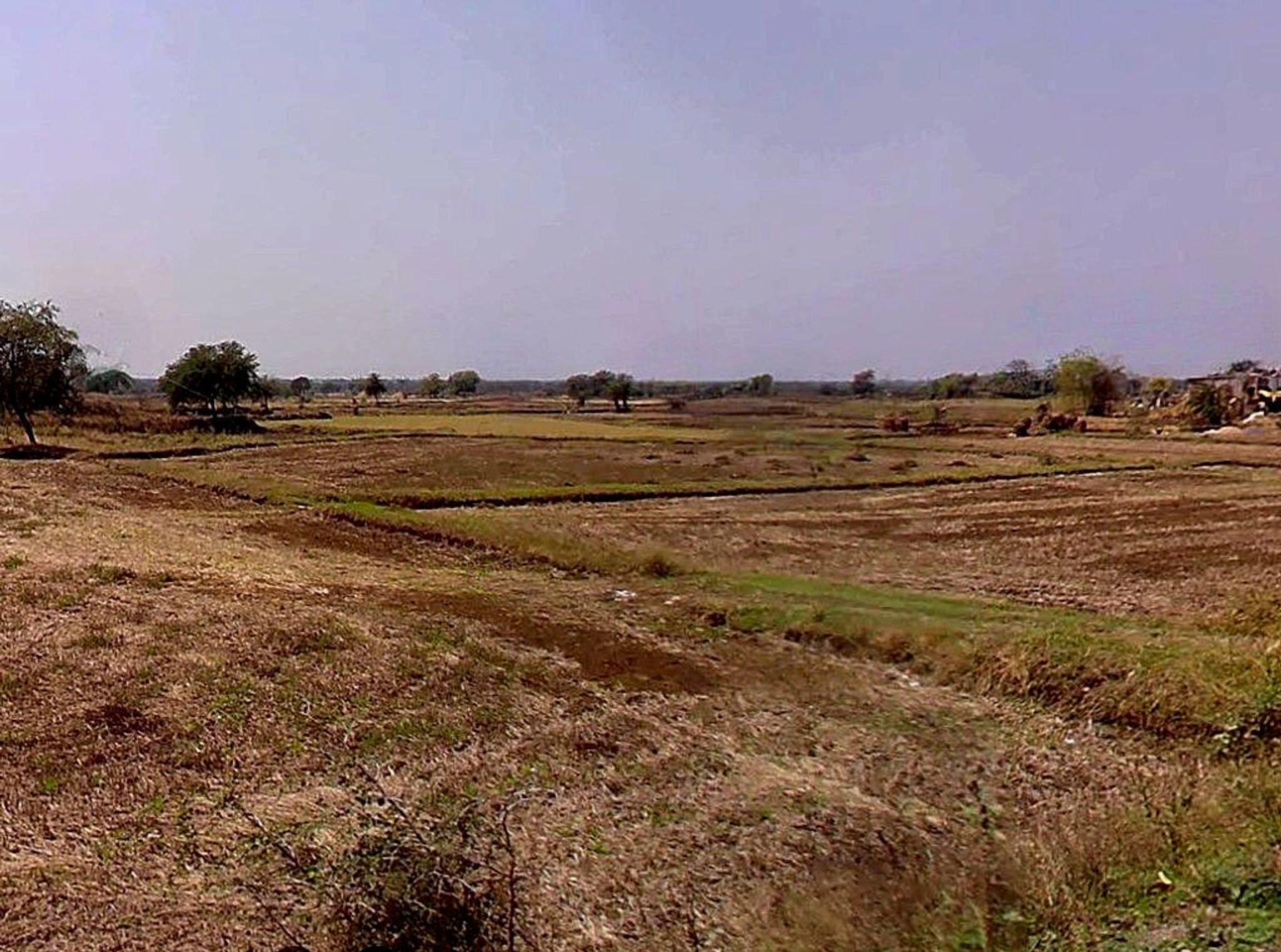 PG7P+J69, Simga - Kawardha Rd, Berla, Bemetara, Chhattisgarh 491335, India