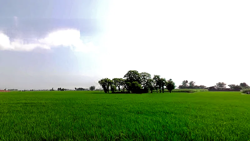 Morinda - Chunni Rd, Bhateri, Punjab, India preview 2