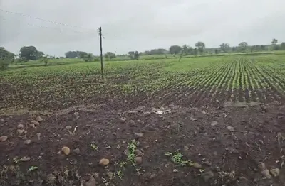 Sunheti Kharkhari, Saharanpur, Uttar Pradesh 247551, India preview 2