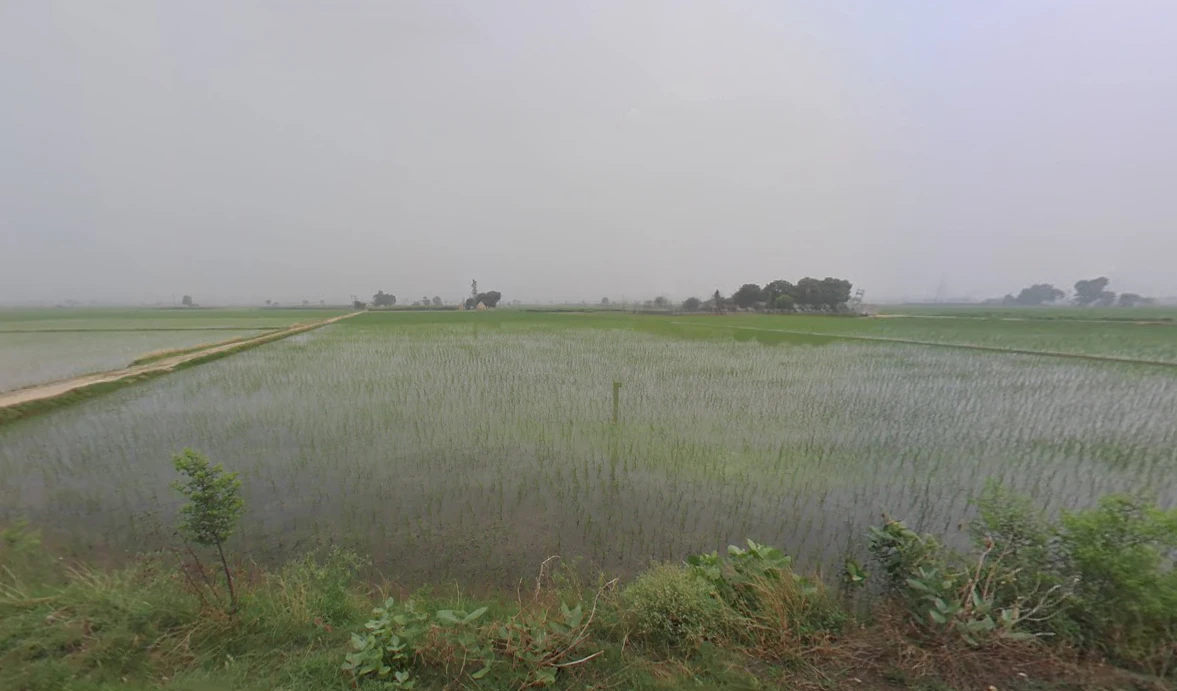 Chanchak, Haryana 136035, India