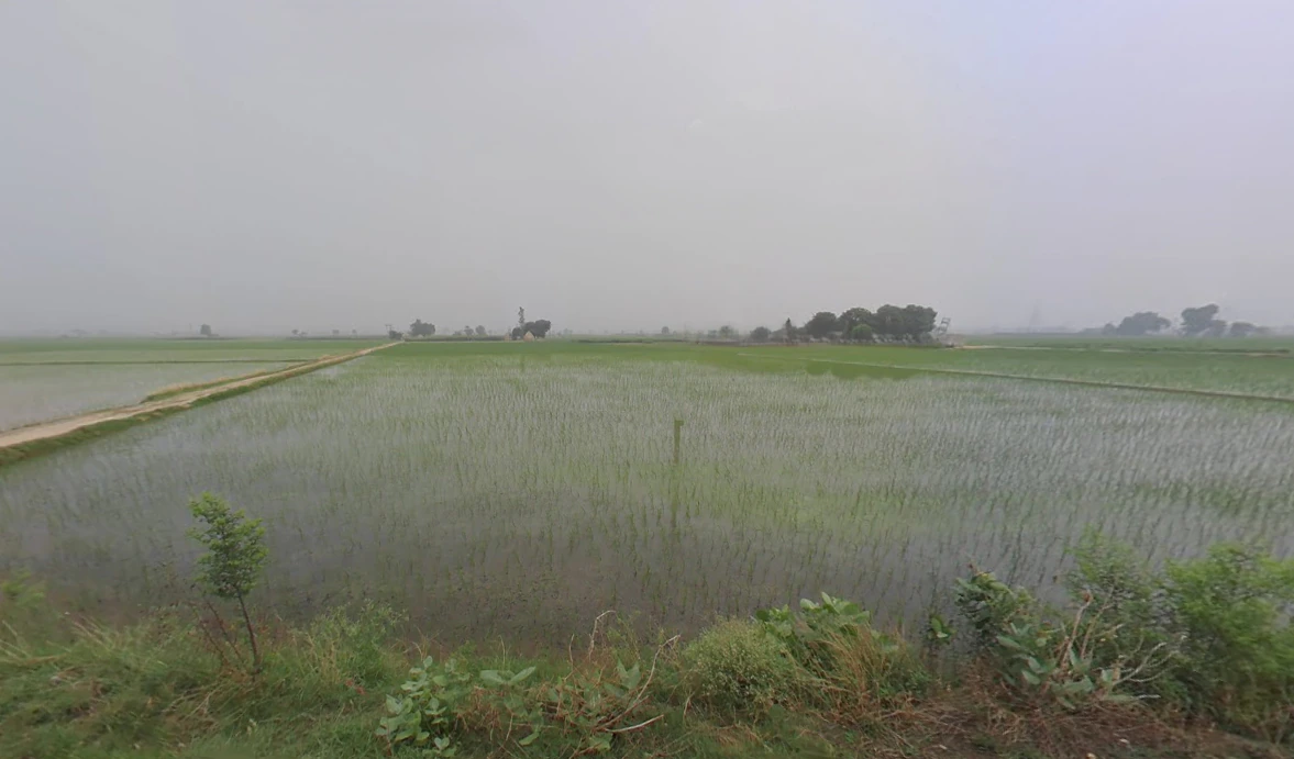 Chanchak, Haryana 136035, India