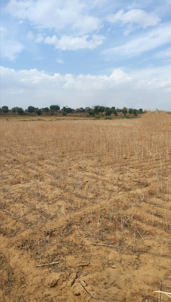 Keshoraipatan, Rajasthan, India
