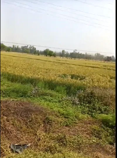 Maman Khurd, Uttar Pradesh 203002, India preview 2