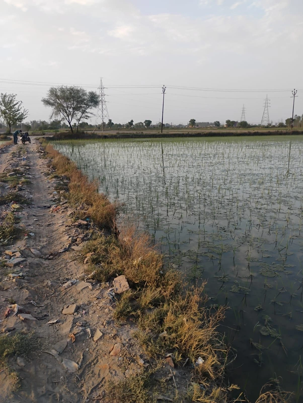 Bishambhara, Uttar Pradesh 281404, India