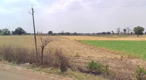 Parwaliya Sadak, Madhya Pradesh 462036, India preview 2