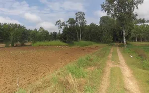 Gangapur, Uttar Pradesh 203393, India preview 2