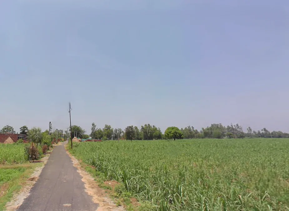 Dhanaura, Uttar Pradesh 244231, India preview 3