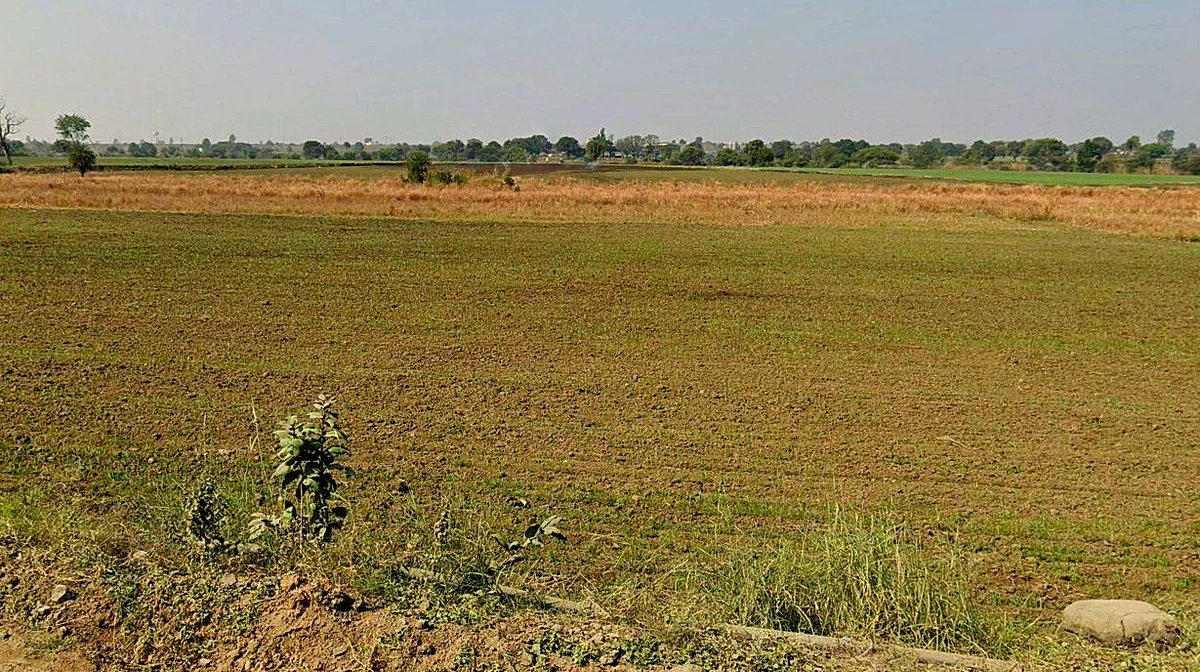Barrai, Madhya Pradesh 462047, India