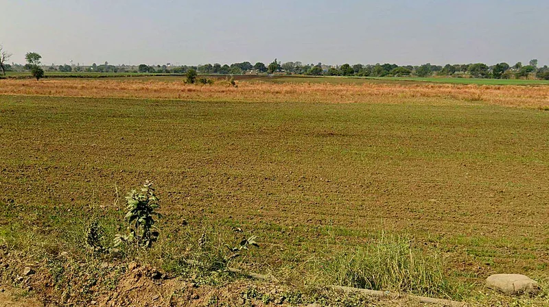 Barrai, Madhya Pradesh 462047, India preview 2