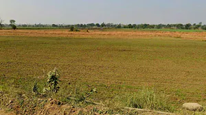 Barrai, Madhya Pradesh 462047, India preview 2