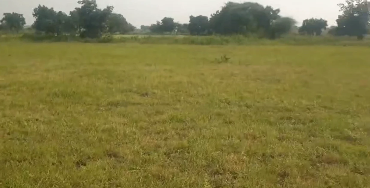 3JC7+95P, Sangareddy, Karsgutti, Telangana 502286, India
