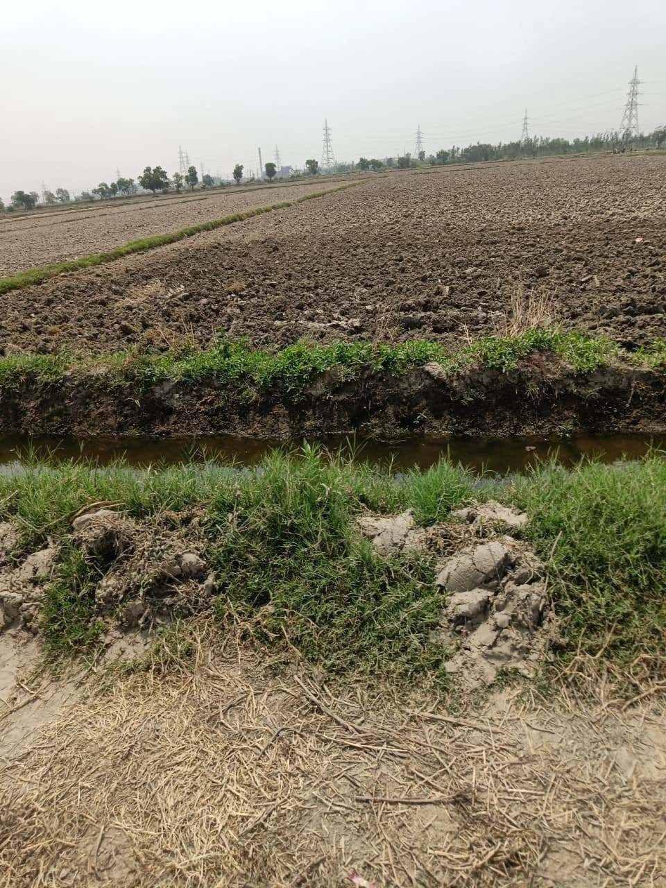 Sahar, Uttar Pradesh, India