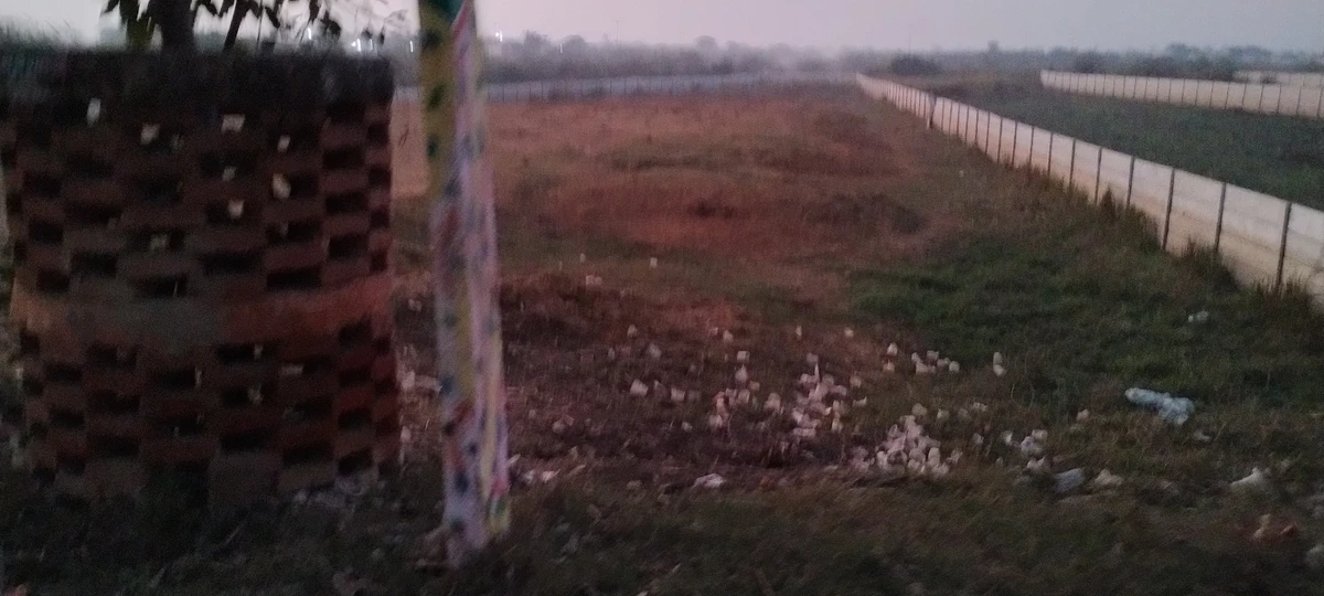 Govardhan, Uttar Pradesh, India