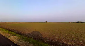 Dakor, Gujarat 388225, India preview 2