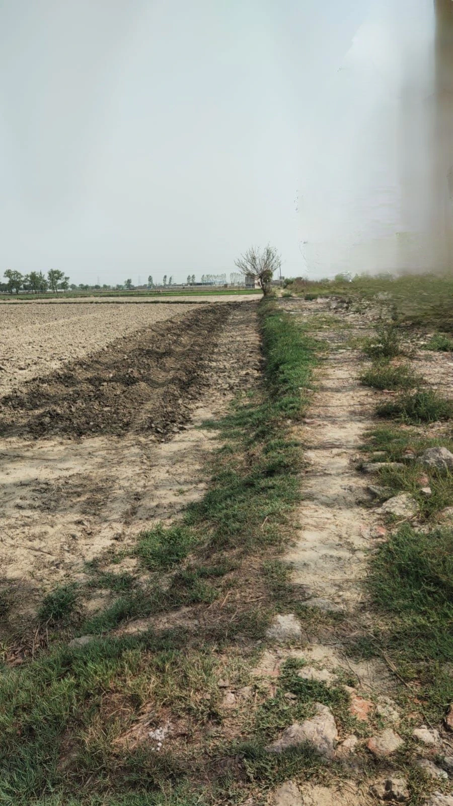Ajijpur, Uttar Pradesh, India