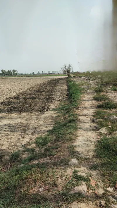 Ajijpur, Uttar Pradesh, India preview 3