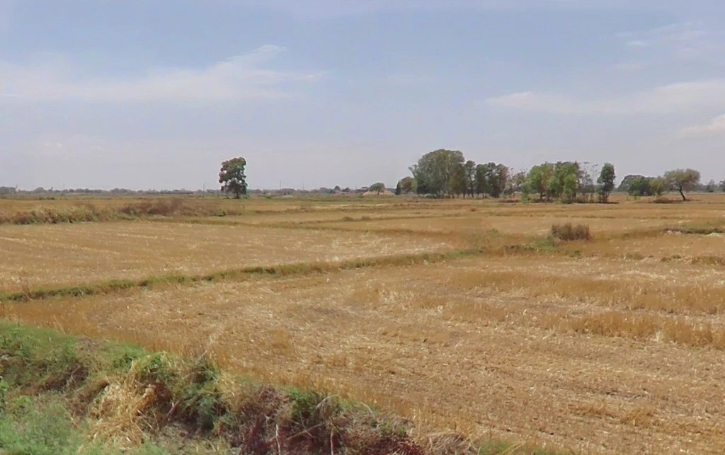 Anandgaon, Chhattisgarh 491332, India