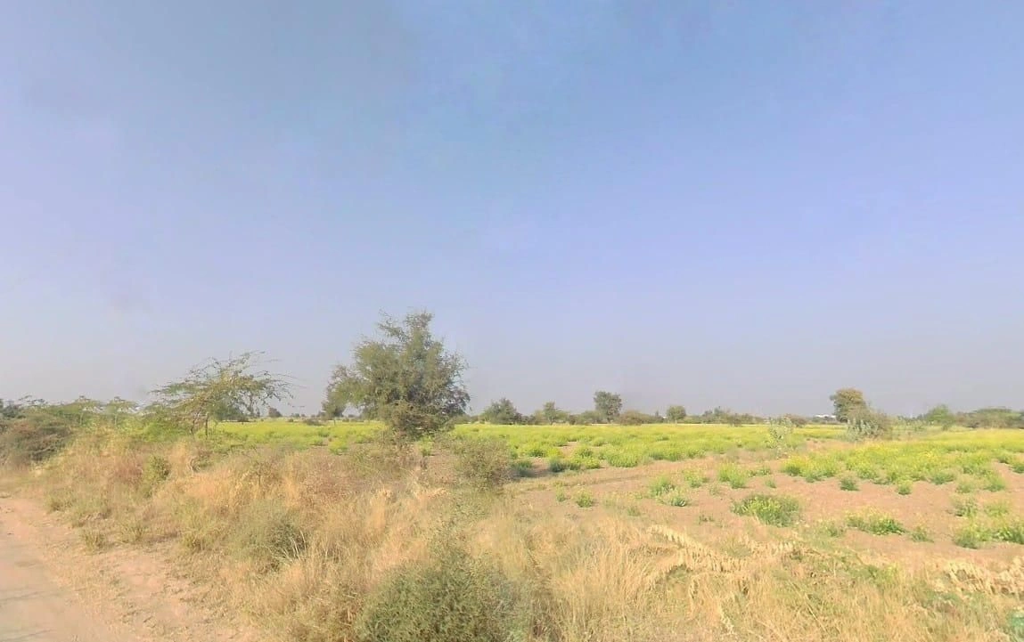 V5VM+67M, Bandai, Rajasthan 306421, India