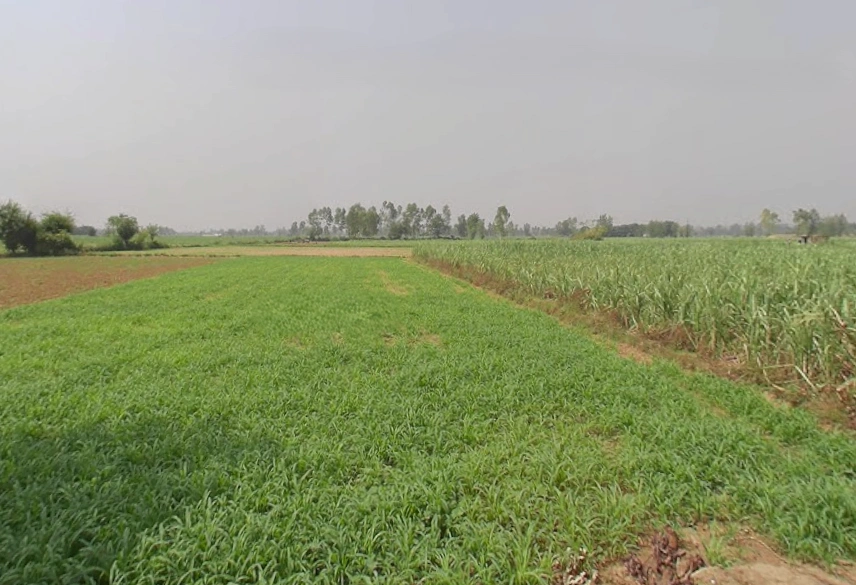 Hastinapur, Uttar Pradesh 250404, India