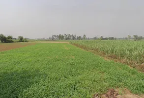 Hastinapur, Uttar Pradesh 250404, India preview 3