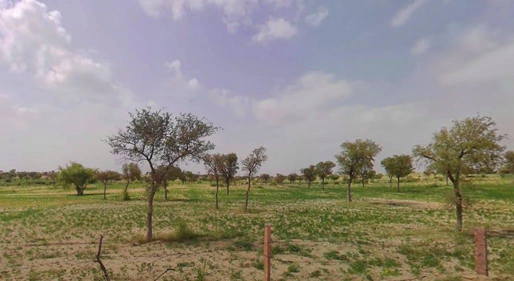 Bhanipura, Rajasthan 331411, India