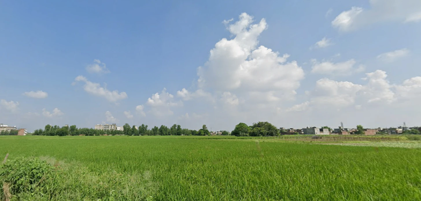 Bahadarke, Punjab 141008, India